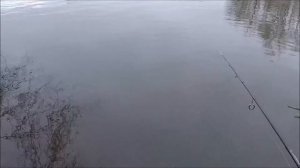 покупка и обкатка Фаворит Эксклюзив 682