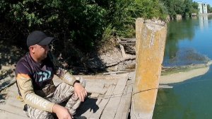 Рыбалка на Маныче, клюёт сазан, карась, плотва,густера. Много разной рыбы ?