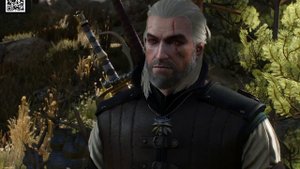 The Witcher 3 (Ведьмак 3). Шоковая терапия. Прохождение