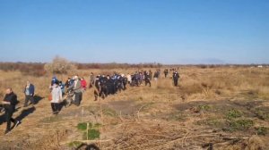 Люди города Вольнянск Запорожской области выгоняют Титушню со своей земли