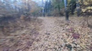 Осенняя прогулка в парке