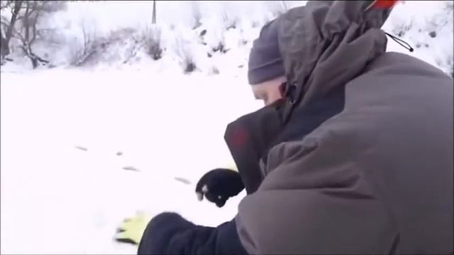 Ловля окуня зимой с Нормундом Грабовскисом смотреть онлайн