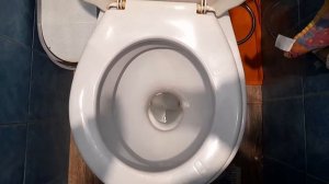 Насколько реально хватает стиков свежести Domestos для унитаза? 30 дней?