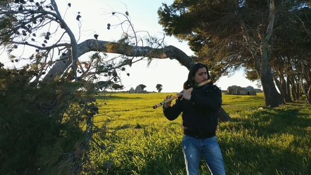 Take my breath away by Berlin- Flute cover смотреть онлайн