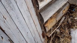 Лесные домики 4 / Таёжные избы
