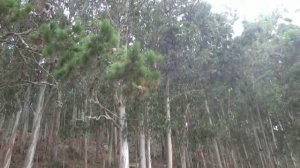 VLOG: Острова Cíes - Islas Cíes (Galicia)