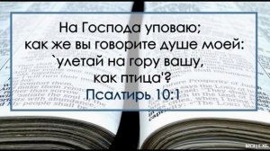 "На Господа уповаю". Д. Самарин. МСЦ ЕХБ