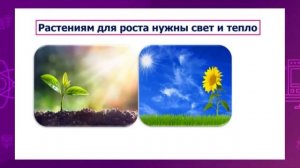 Условия дл жизни растений
