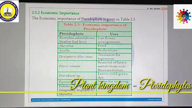 4. Plant kingdom - Pteridophytes смотреть онлайн