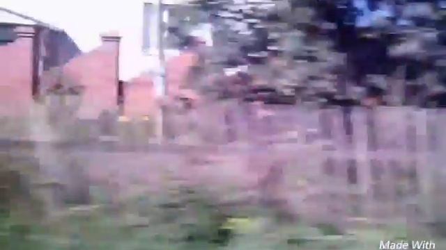 Едем на дачу с Ивангаем!!! смотреть онлайн