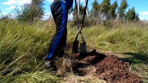 Инструмент для копки ям под заборные столбы. Post hole digger.