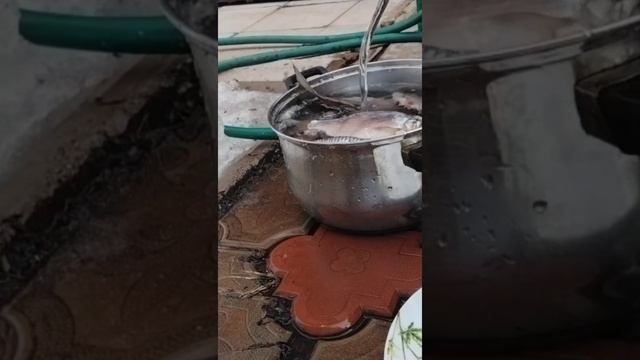 КАК Я СОЛЮ РЫБКУ В ДОМАШНИХ УСЛОВИЯХ. ВЯЛИМ РЫБКУ ВКУСНО И ПРОСТО. Рецепт от А до Я. Вкус БОМБА смотреть онлайн