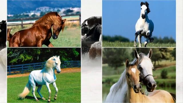 ProShow Producer Стиль с дубликатом слоёв смотреть онлайн