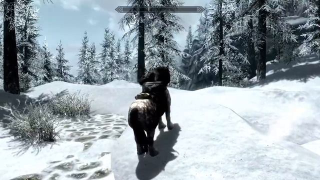 Skyrim (Blocked Path) смотреть онлайн