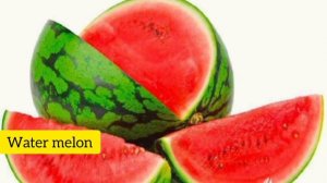 Fruits Vocabulary in Arabic English and Urdu | Arabic Main Fruits Ke Name | arabic vocabulary,