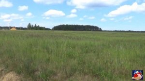 Релакс Японская эстрада