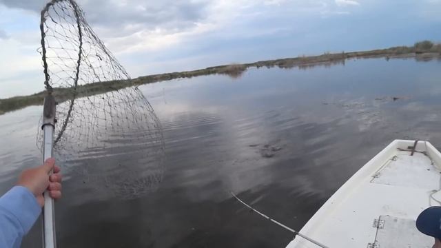 Рыбалка в Прибалхашье. Разведка новых мест. Июнь 2022г. смотреть онлайн