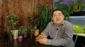 Замиокулькас уход в домашних условиях. Делюсь секретами