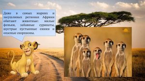 2 класс. Окружающий мир. Путешествие по материкам. Африка