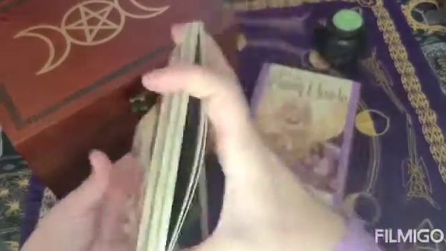 Wild Wisdom of the Fairy Oracle: Daily card pull смотреть онлайн