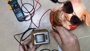 Как сделать электроглушилку-парализатор для свиней