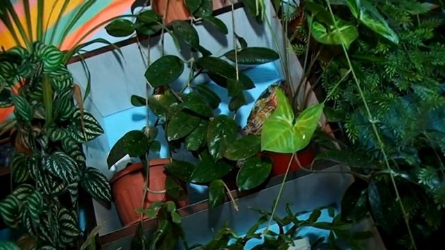 День рождения в детском саду.mpg смотреть онлайн