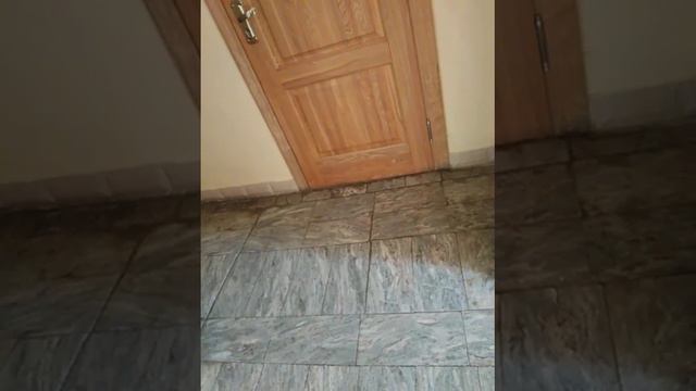 10 января 2023 г. смотреть онлайн