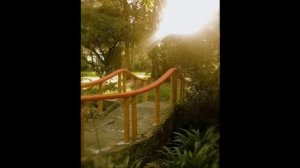 Декоративные мостики в вашем саду