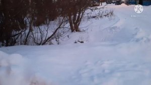 Купил себе грузовик Вольво фм VOLVO FM12 первые рейсы, куча проблем в дороге