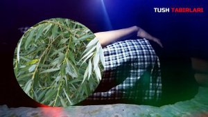 Туш табири - Тушда Тол дарахтини куриш