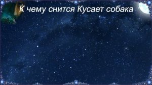 К чему снится Кусает собака (Сонник)