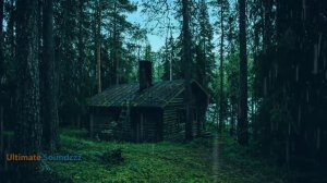 99% мгновенно засыпают - Шум дождя на крыше в тропическом лесу - Звуки дождя и грома для сна