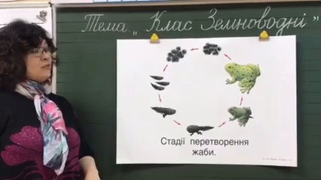 Інтелект України Я пізнаю світ 1 клас смотреть онлайн