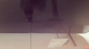 Хваленное"малазийское"качество Sony Bravia ! Грязь и насекомые под экраном и сравнение с Samsung TV