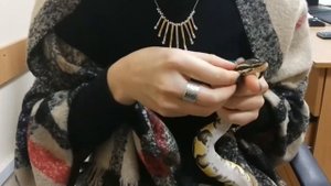 Питон полинял кусками, какая причина, помогаю полинять