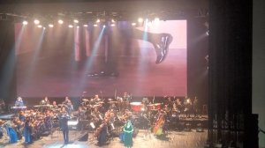 королек птичка певчая. оркестр