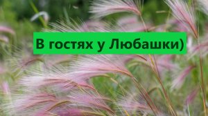 Приглашаю на обзор Любашкиных растений! С любовью у Любови!!!