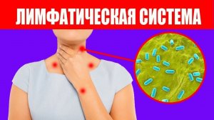 6 ЛИМФАТИЧЕСКАЯ СИСТЕМА. Как восстановить здоровье. СВОТ