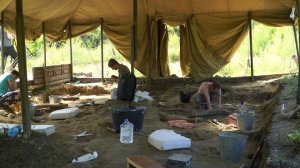 На Благовещенском кладбище динозавров ведут раскопки известные ученые-палеонтологи.