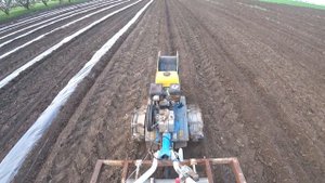 Cтелим пленку мотоблоком под арбузы