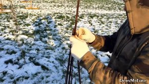 Быстро и просто укрываем на зиму саженцы персика хурмы миндаля