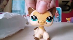 LPS:РАСПАКОВКА ПОСЫЛКИ!!! LPS KatrinLove плачет..