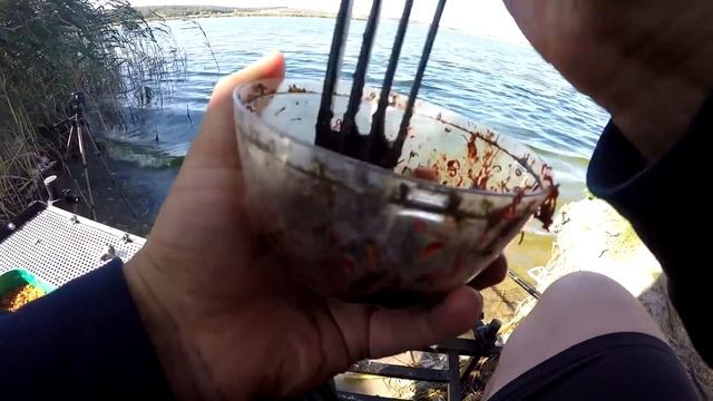 Ловля Леща на Рогозянке. Как найти перспективное место? Тактика Ловли Леща на Водохранилище. смотреть онлайн