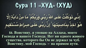 КРАСИВОЕ ЧТЕНИЕ КОРАНА СУРЫ 11 HUD(ХУД),ЧТЕЦ МУХАММАД ЛЮХАЙДАН.#коран #сура #quran #surah #sura