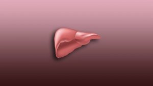 Что если кушать только конфеты и сладости?