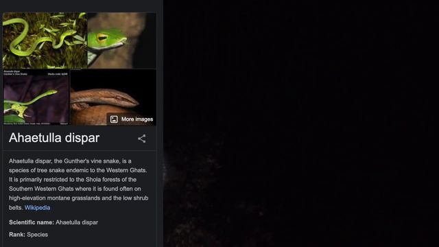 Hiking to the 8,724 ft смотреть онлайн