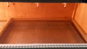 Клетка для цыплят