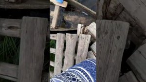 Поездка на Озеро Узкое Куртамышский район.