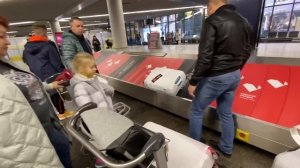 ВЛОГ Летим в Сочи всей семьей и даже с кошкой на самолёте!!!