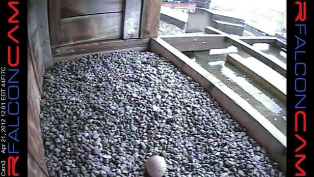 Camera 3 - 04/21/12 смотреть онлайн